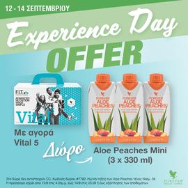 Vital 5 -Berry